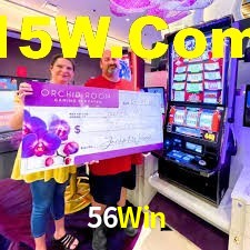 Tennis Betting 56Win